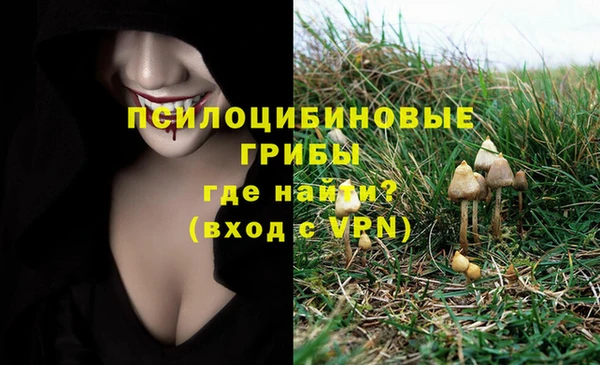 хмурый Богородицк