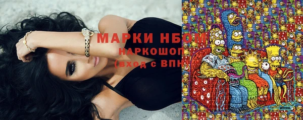 хмурый Богородицк