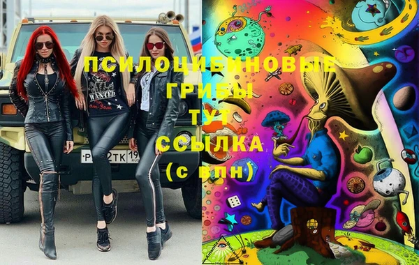 хмурый Богородицк