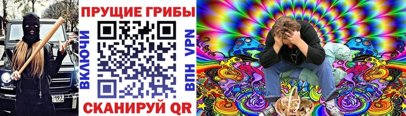 где продают наркотики  кракен маркетплейс  Псилоцибиновые грибы прущие грибы  Нерчинск 